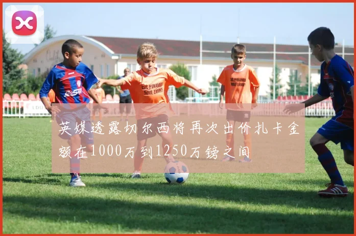 英媒透露切尔西将再次出价扎卡金额在1000万到1250万镑之间