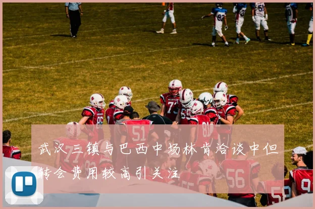 武汉三镇与巴西中场林肯洽谈中但转会费用较高引关注